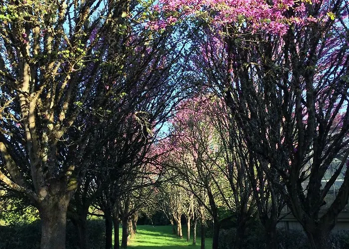 Hotel Le Belvedere Thiviers